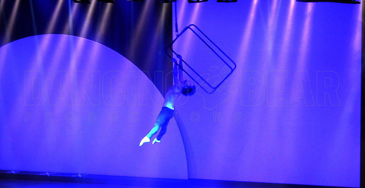 aerial cage showact