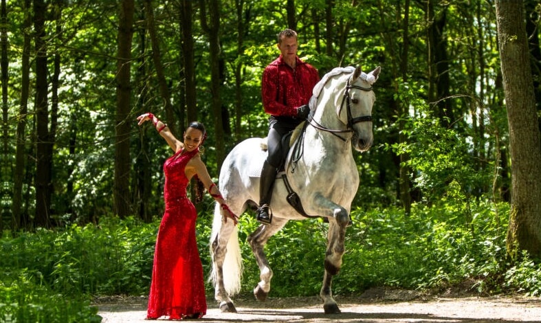 Tanzende Pferde Showact 02