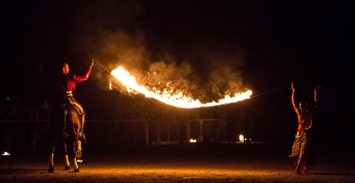 Tanzende Pferde Showact 04