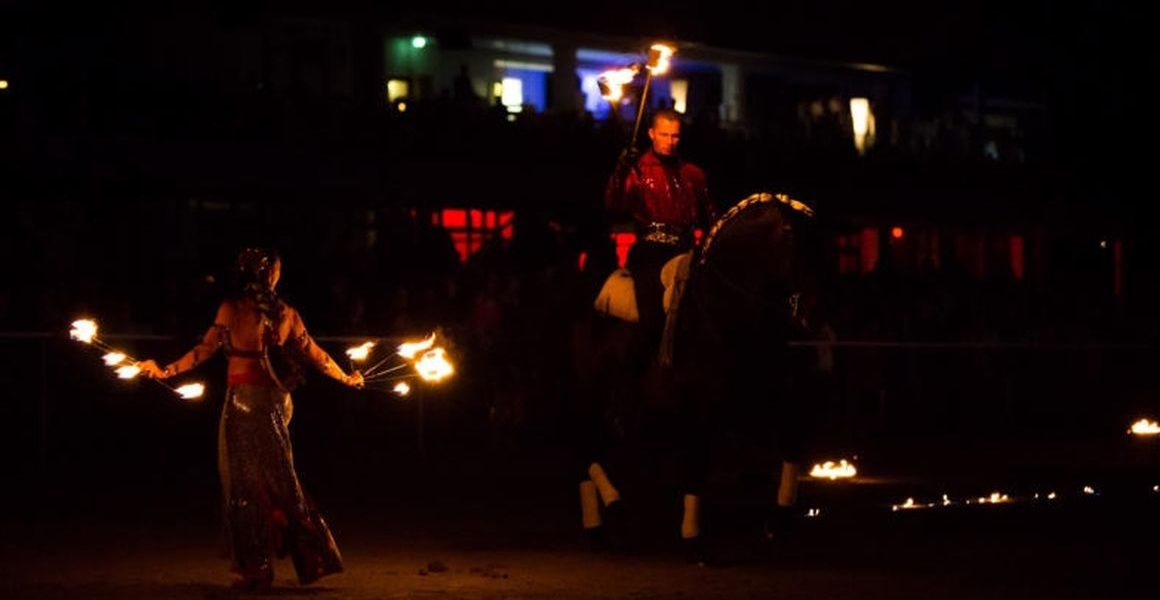 Tanzende Pferde Showact 2